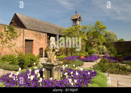 Tulipes violettes et entourent un jardin statue dans le Jardin du Pavillon, Arley, Hall, Arley, Cheshire, England, UK Banque D'Images