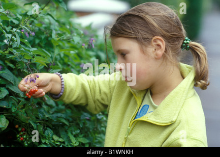 Petite fille à la recherche d'un buisson avec des baies toxiques rouge Banque D'Images