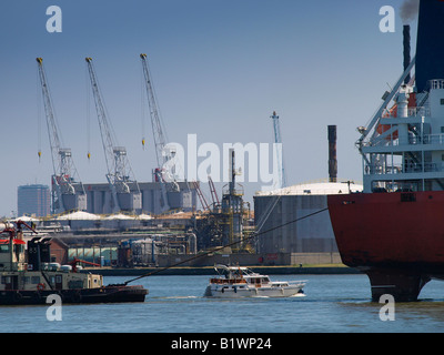 Yacht de luxe au port d'Anvers Flandre Belgique Banque D'Images