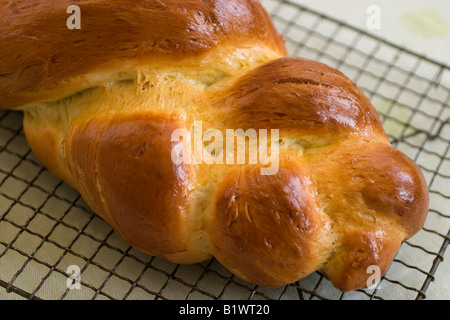 Pain challah maison cools sur une grille dans la cuisine Banque D'Images