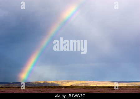 Arc-en-ciel et les rayons de lumière sur la floraison purple heather de Danby Low Moor dans le North York Moors National Park, Royaume-Uni Banque D'Images