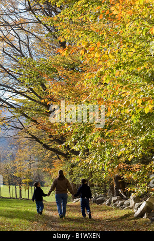 Mère promenades avec deux fils le long d'un sentier bordé de feuillage d'automne dans la région de Adams Massachusetts