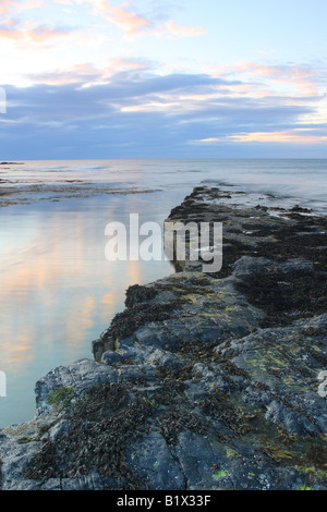 Coucher du soleil à Harkess Rocks aussi connu sous le nom de Rochers Cerf près de Château de Bamburgh Northumberland localement Banque D'Images