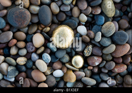 Ronde d'or parmi les cailloux galets sur une plage. Plage de Findhorn, Moray, Ecosse Banque D'Images