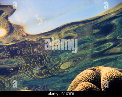 Les récifs coralliens peu profonds reflète dans la surface de l'eau était Banque D'Images