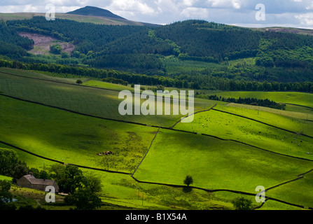 Vue depuis le nez Tegg Country Park près de Macclesfield Cheshire UK à sud avec le Peak District hills à l'horizon Banque D'Images