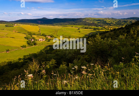 Vue depuis le nez Tegg Country Park près de Macclesfield Cheshire UK à sud avec le Peak District hills à l'horizon Banque D'Images