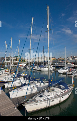 Yachts amarrés à Ocean Village Marina Southampton Hampshire Angleterre Banque D'Images