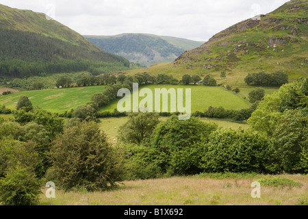 UK Wales Rhayader Powys Gilfach Nature Reserve Wye Valley Walk Cambrian mountains Banque D'Images