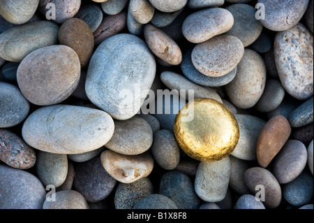 Ronde d'or parmi les cailloux galets sur une plage. Plage de Findhorn, Moray, Ecosse Banque D'Images