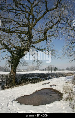 Village de Aldersey, Cheshire, Angleterre. Hiver ensoleillé neige scène d'une route de campagne et de fermes dans la campagne du Cheshire. Banque D'Images