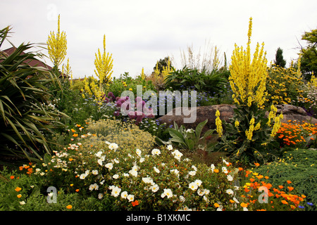 Une bordure colorée DANS UN JARDIN SEC. RHS HYDE HALL l'ESSEX. Banque D'Images