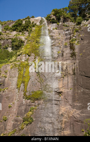 Cascade de Milford Sound, nouvelle-zélande Banque D'Images