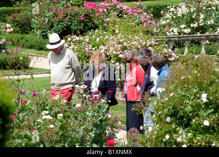 Les visiteurs dans le jardin des reines au Château de Sudeley Gloucestershire Cheltenham UK Banque D'Images