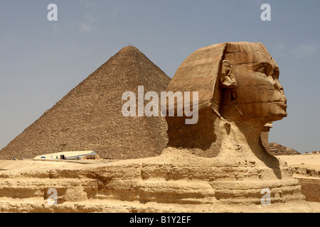 Le Sphinx d'arrière-plan avec la grande pyramide de Khufu (CHEOPS) à Gizeh Egypte Banque D'Images