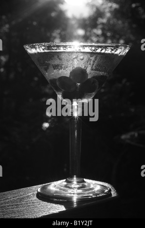 Photographie en noir et blanc d'un martini avec des olives, des perles avec l'humidité dans la chaleur de l'été, miroitant dans la lumière du midi Banque D'Images