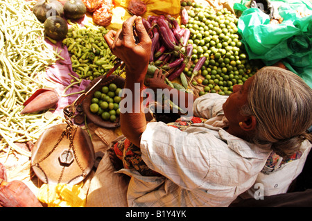 Sri Lanka, marché, pas d'additifs chimiques, pas d'ogm, légumes, Personnes, santé, style de vie, photo Kazimierz Jurewicz, Banque D'Images