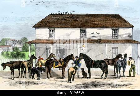 Maison blanche stable avec les chevaux et poneys de la famille du Président Grant 1869. À la main, gravure sur bois Banque D'Images