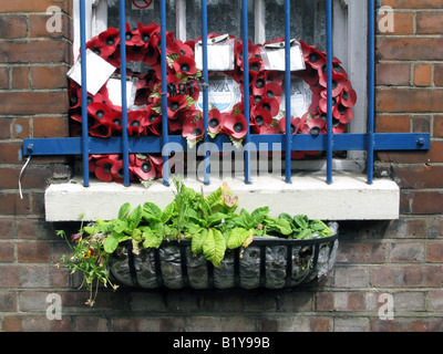 Royaume-uni British Legion plaque à l'ordre des chapeaux mémorable étain office de coquelicots sur la fenêtre , , Londres. Photo © Julio Etchart Banque D'Images