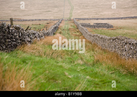 Chemin des pèlerins sur le bord de galles à pied Banque D'Images