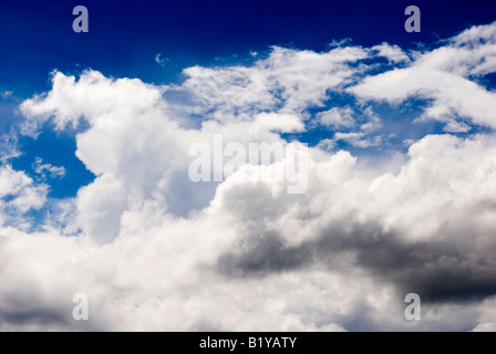Des nuages dans un ciel bleu. Banque D'Images