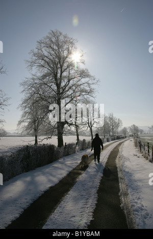 Village de Aldersey, Angleterre. Hiver ensoleillé neige scène d'une dame promener son chien sur une route de campagne, dans le Cheshire. Banque D'Images