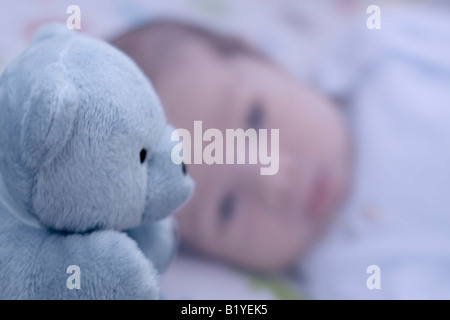 Ours en peluche Banque D'Images