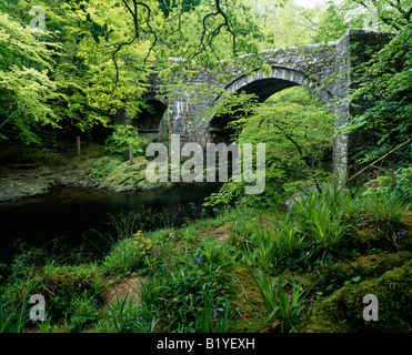 Pont Holne au-dessus de la rivière Dart dans le parc national de Dartmoor au printemps. Holne, Devon, Angleterre Banque D'Images