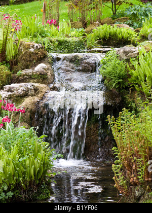 Petite cascade avec primevères candélabres dans un grand jardin Banque D'Images