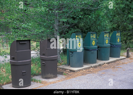 Yosemite National Park les bacs de recyclage Banque D'Images