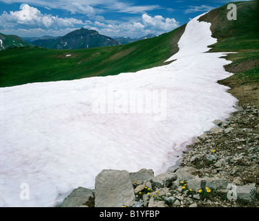 Banc de neige, zone alpine, les Rocheuses Colorado USA, par Willard Clay/Dembinsky Assoc Photo Banque D'Images