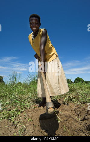 Les femmes africaines dans les champs à cultiver le sol avec l'Afrique Ouganda Mbale houes Banque D'Images