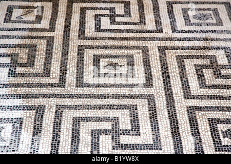 Dessins en mosaïque sur le plancher de l'Italie d'Herculanum complexe des bains Banque D'Images