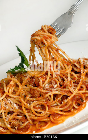 Spaghettis à la bolognaise sur une plaque blanche avec une fourchette Banque D'Images