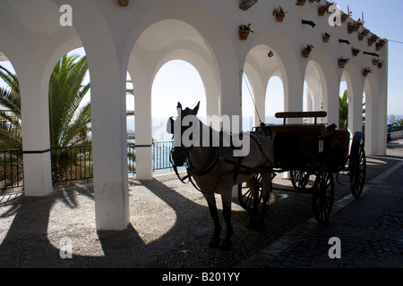 Cheval Tourisme et transport au balcon en Nerja, Espagne du sud Banque D'Images