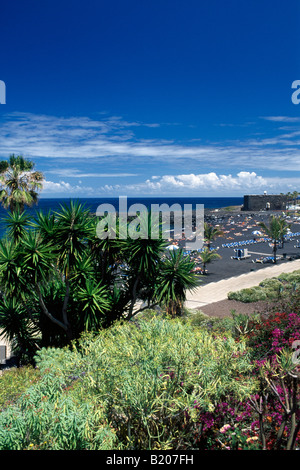 Playa del Jardin à Puerto de la Cruz Tenerife Espagne Banque D'Images