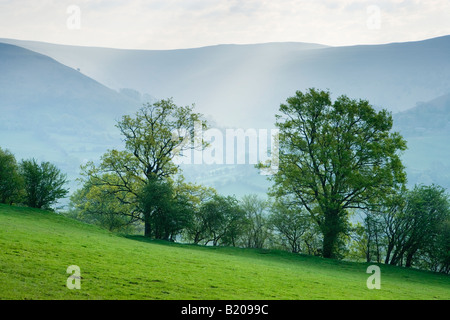 Près de Brecon Beacons Crickhowell, Powys, Wales, UK. Misty dawn de printemps. Banque D'Images