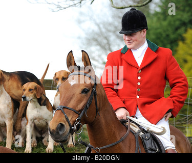 Foxhounds et Huntsman au rencontrez Banque D'Images