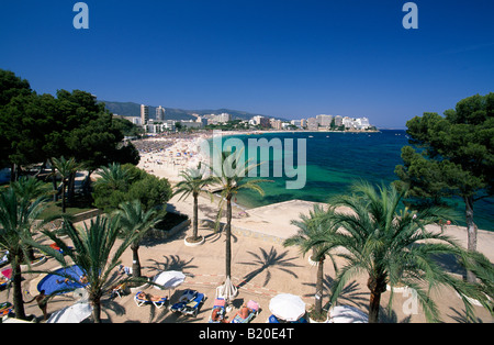 Magaluf, Majorque Îles Baléares Espagne Banque D'Images