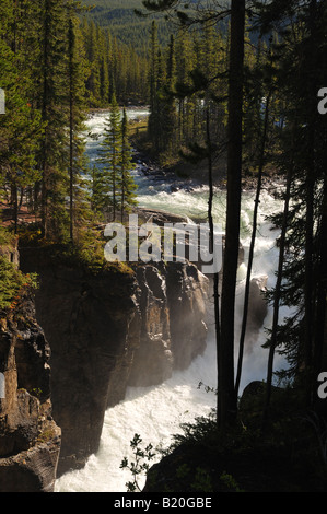 Sunwapta Falls 10 Banque D'Images