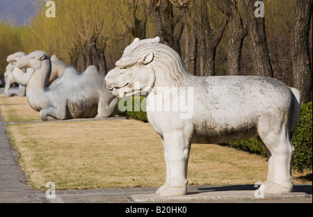 Statue d'un comité permanent Xiezi chinois mythique Unicorn sur Spirit of cours au site des tombeaux Ming Beijing Chine Banque D'Images