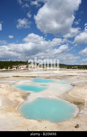 Norris Geyser Basin Le Parc National de Yellowstone au Wyoming USA Banque D'Images