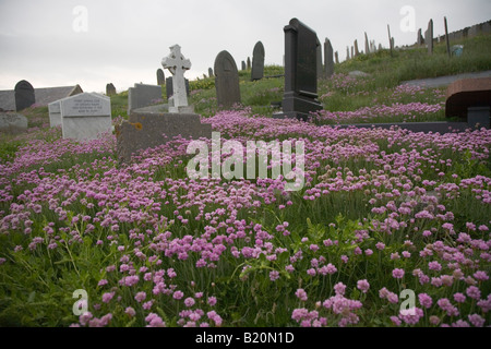 Friedhof Eglise St Hywyn Aberdaron, Banque D'Images