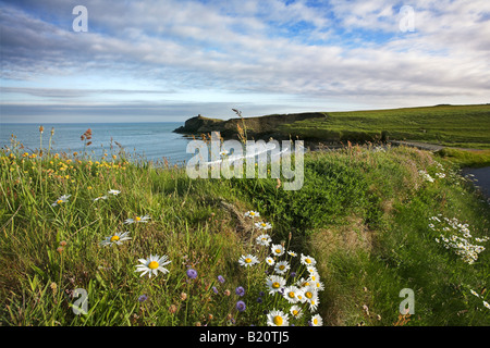 L'horizontale, la couleur de l'image Abereiddy Bay sur la côte du Pembrokeshire, UK Banque D'Images