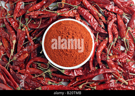 Bol plein de poudre de chili rouge entouré par des piments rouges. Banque D'Images