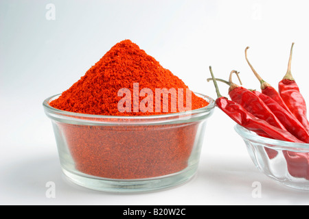 Bol en verre plein de poudre de chili rouge, avec Red Chili dans un bol. Banque D'Images