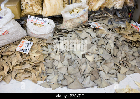 Les ailerons de requins en vente en boutique dans l'aile Lok Street Sheung Wan Hong Kong, Chine Banque D'Images