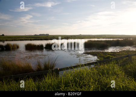 Dans la soirée d'entrée côtière, Northumberland Banque D'Images