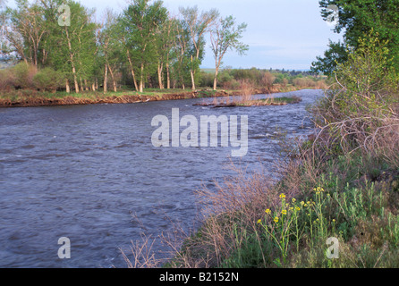 Clark Fork River nom de William Clark nommé par l'expédition Lewis et Clark dans le Montana. Photographie Banque D'Images