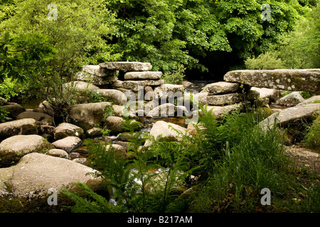 Les vestiges d'un ancien clapper bridge sur la rivière Dart à Pixie's Holt, Dartmoor Banque D'Images